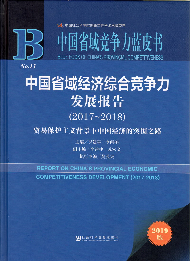 啊啊啊骚货视频中国省域经济综合竞争力发展报告（2017-2018）